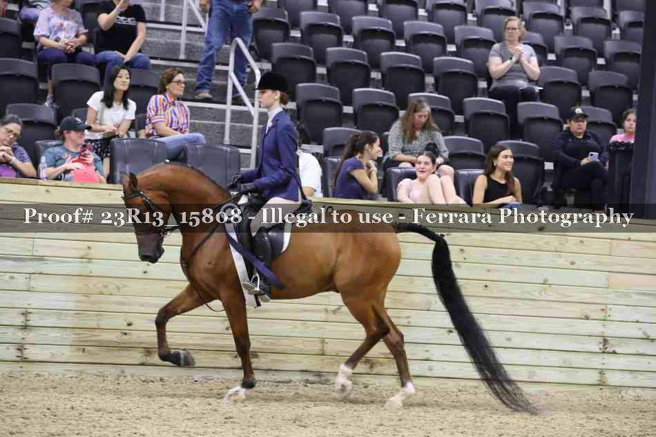 Proof Number 23R13_15808