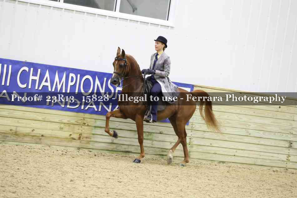 Proof Number 23R13_15828