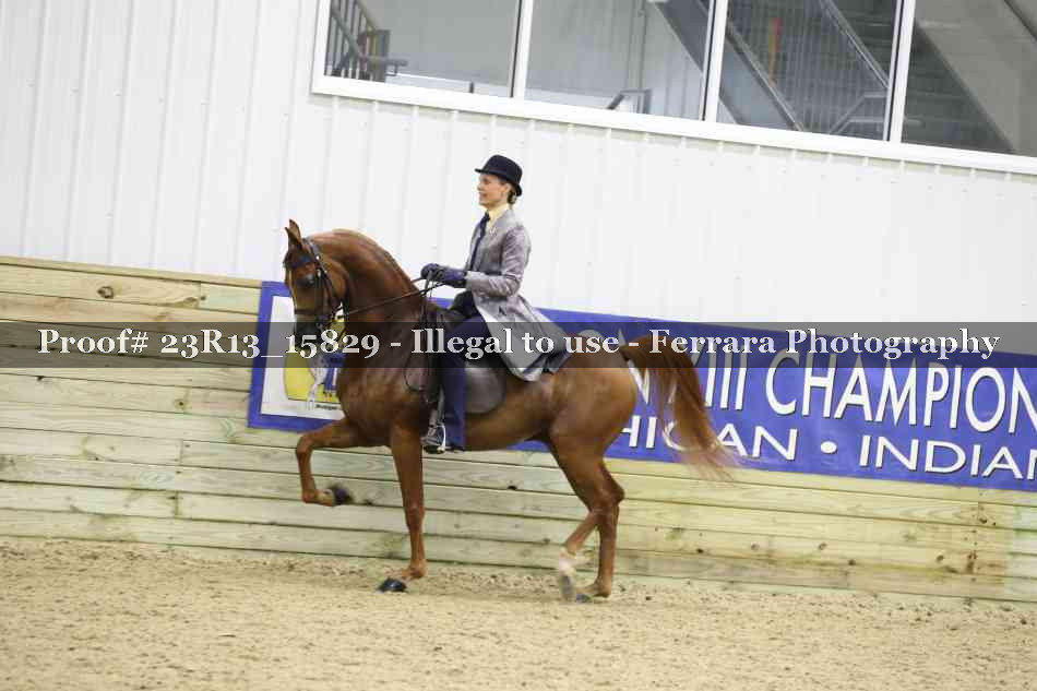 Proof Number 23R13_15829