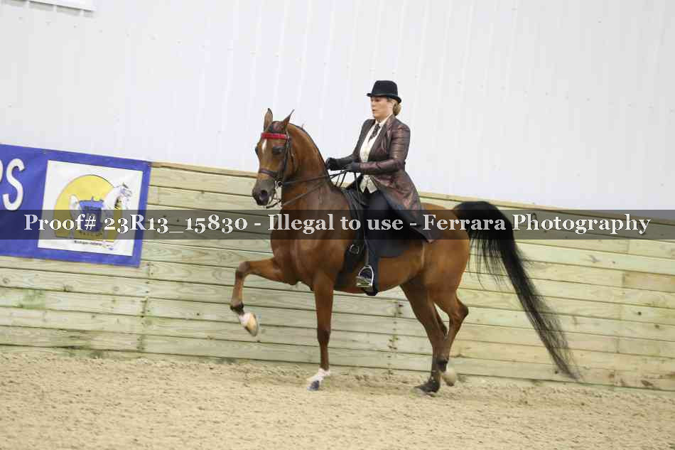 Proof Number 23R13_15830