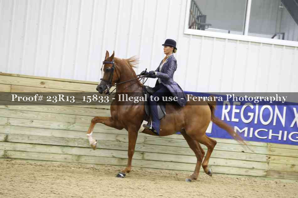 Proof Number 23R13_15833