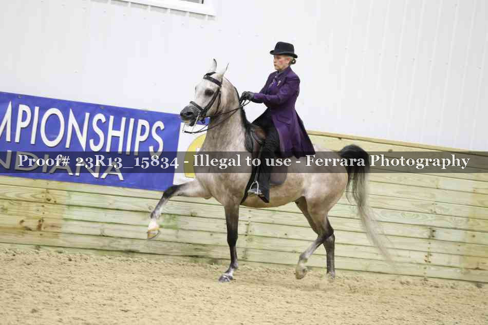 Proof Number 23R13_15834