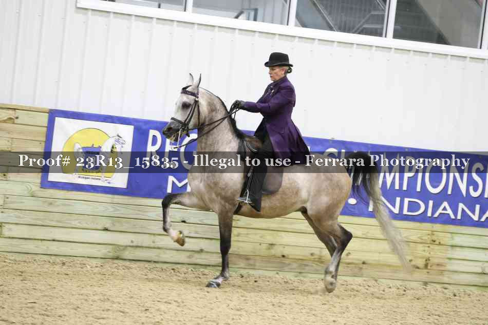 Proof Number 23R13_15835