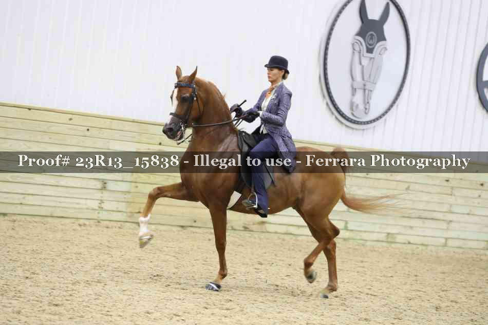 Proof Number 23R13_15838
