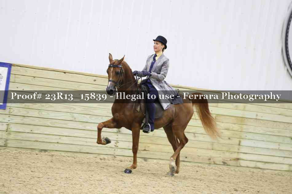 Proof Number 23R13_15839