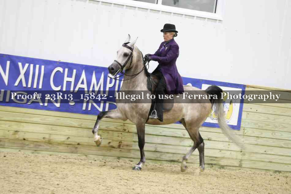 Proof Number 23R13_15842