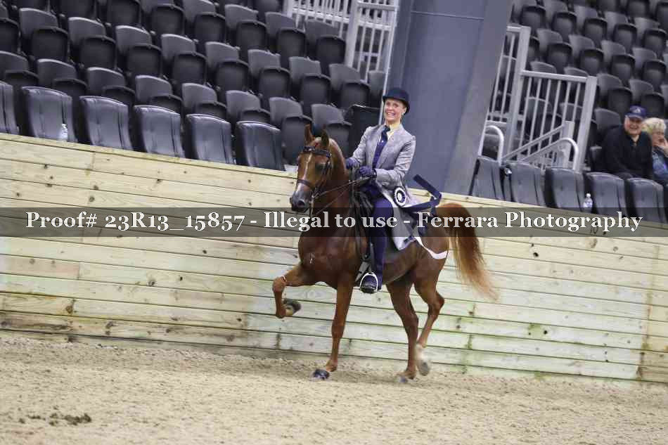 Proof Number 23R13_15857