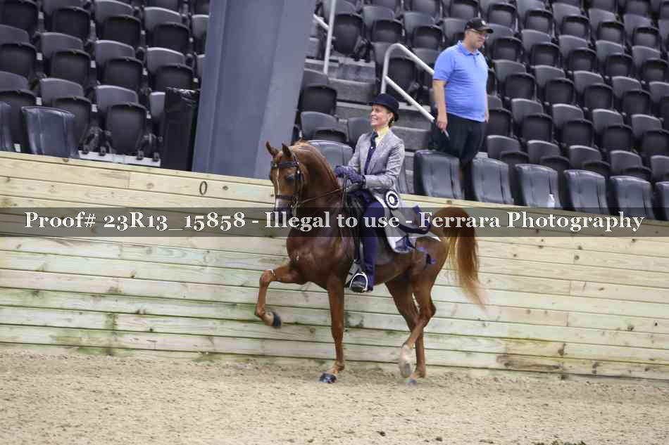 Proof Number 23R13_15858