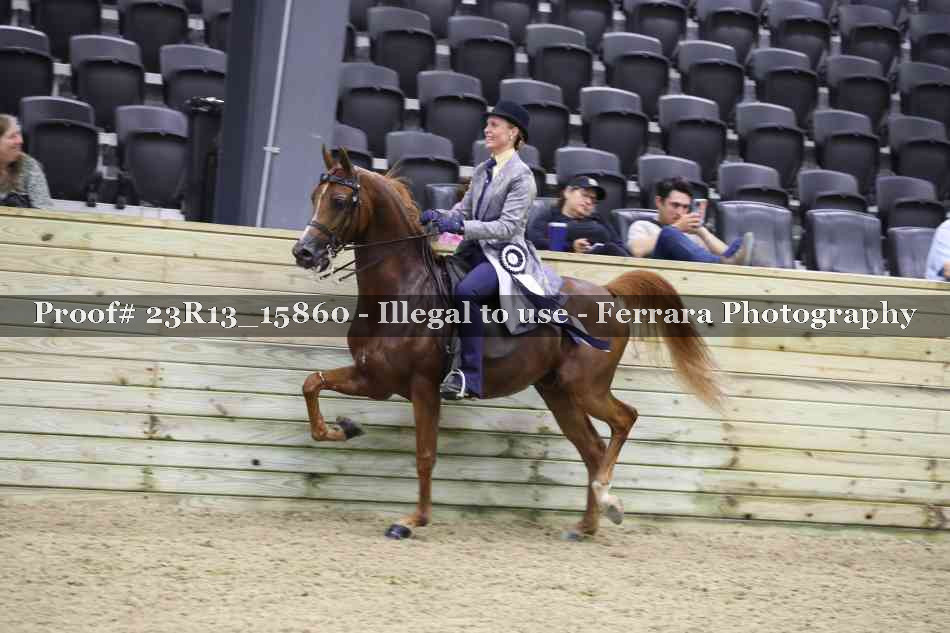 Proof Number 23R13_15860