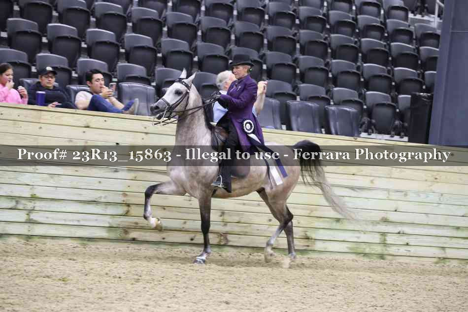 Proof Number 23R13_15863
