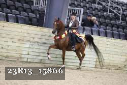 23R13_15866 thumbnail