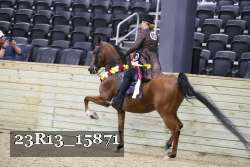 23R13_15871 thumbnail