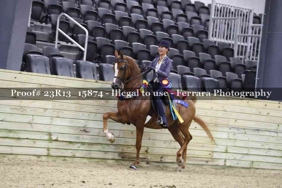 Proof Number 23R13_15874