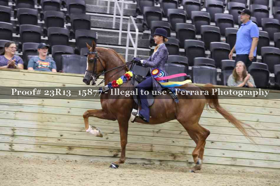 Proof Number 23R13_15877