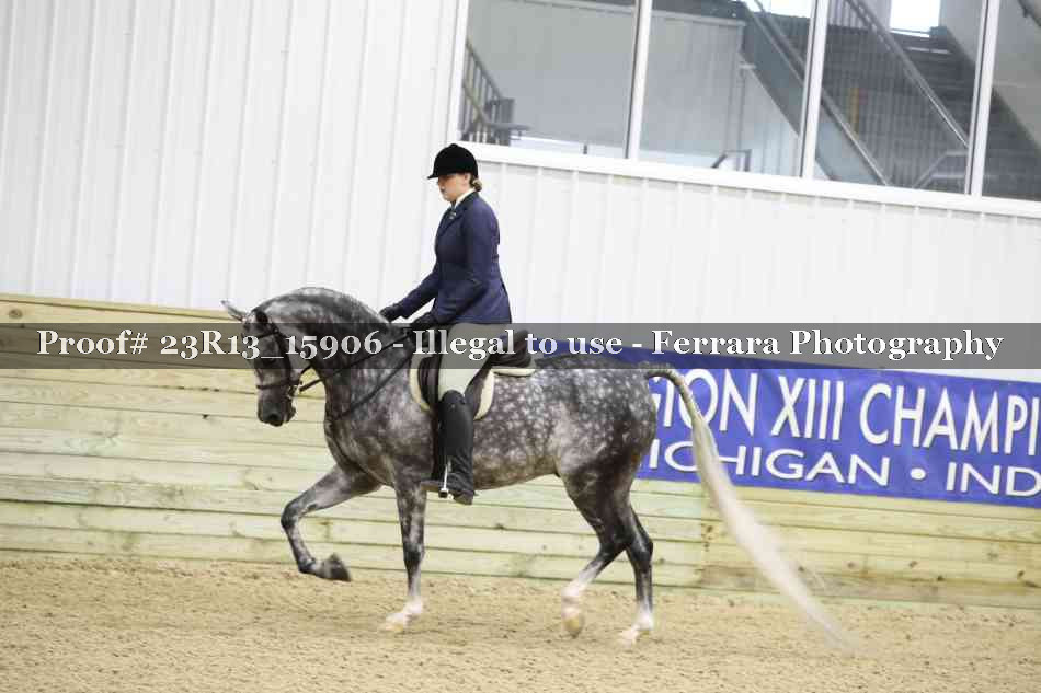 Proof Number 23R13_15906