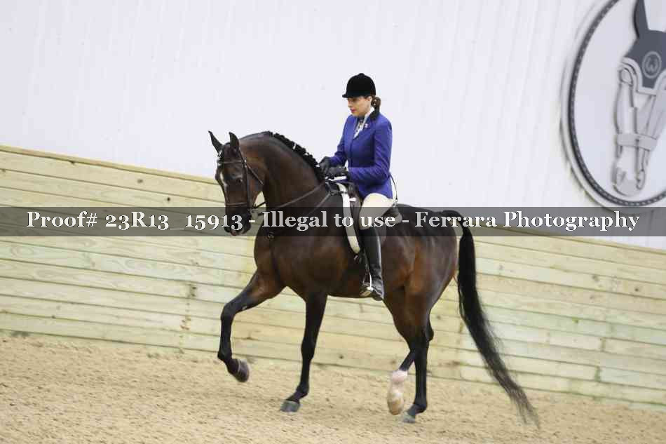 Proof Number 23R13_15913