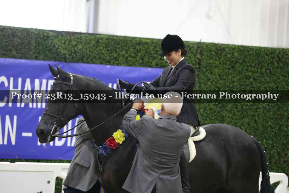 Proof Number 23R13_15943
