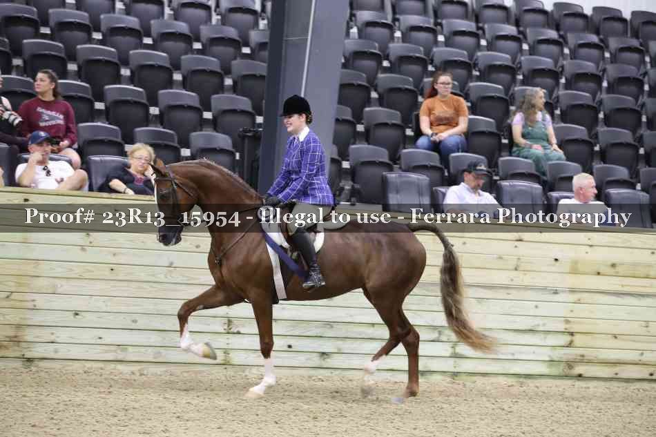 Proof Number 23R13_15954