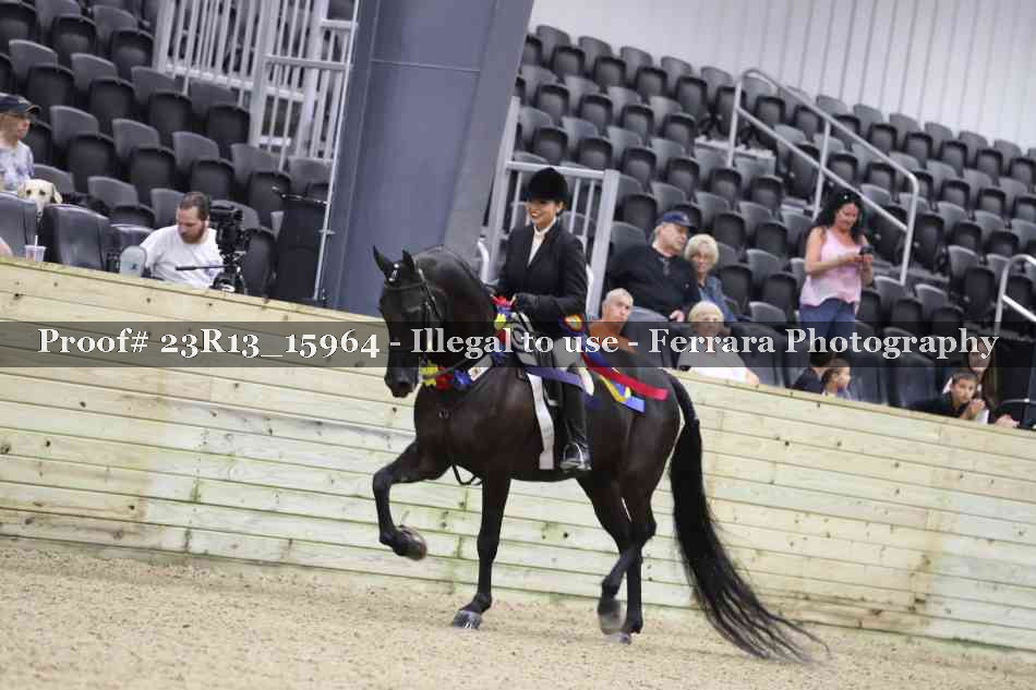 Proof Number 23R13_15964