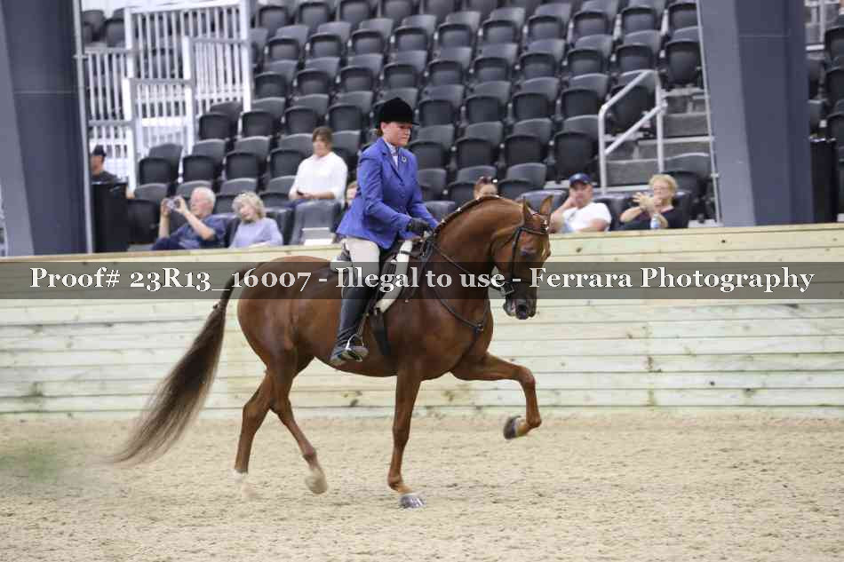 Proof Number 23R13_16007