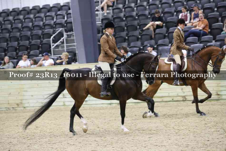 Proof Number 23R13_16011