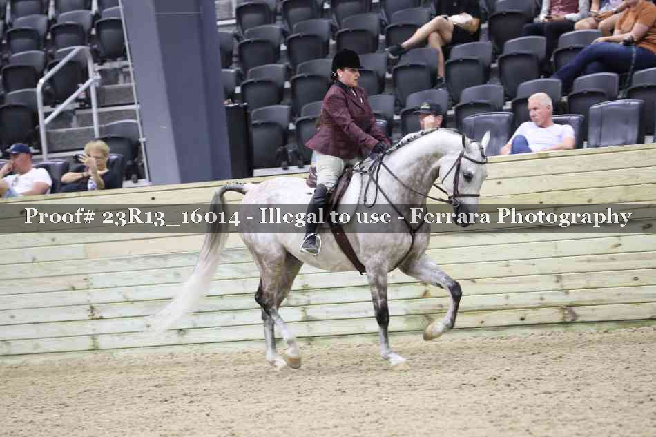 Proof Number 23R13_16014
