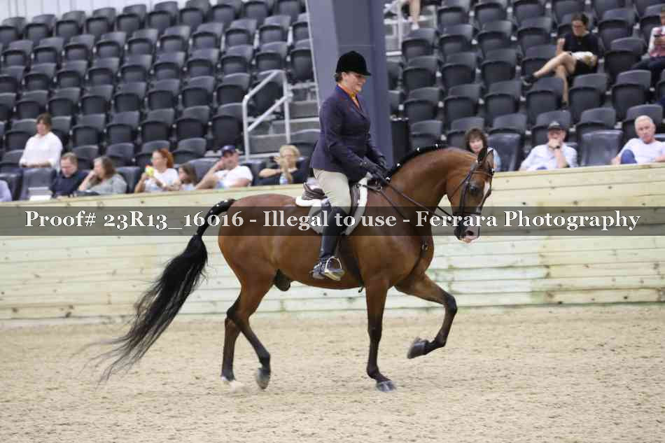 Proof Number 23R13_16016