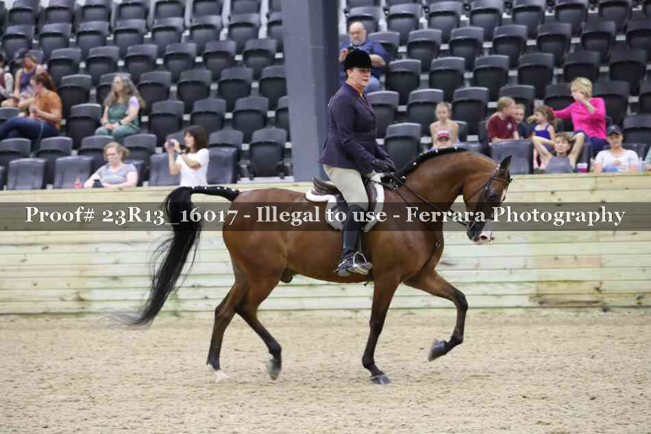 Proof Number 23R13_16017