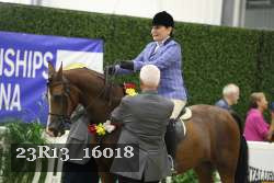 23R13_16018 thumbnail