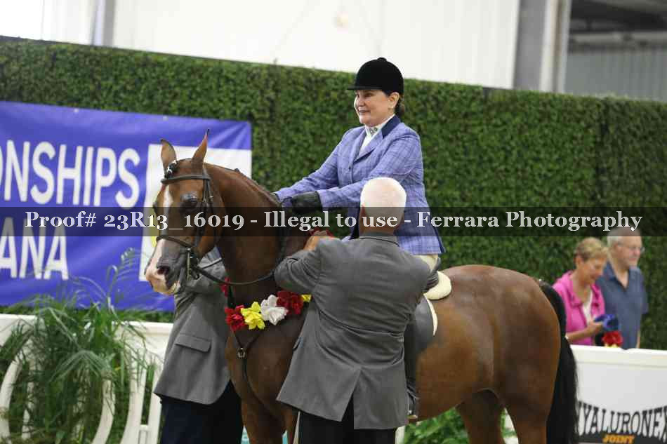Proof Number 23R13_16019