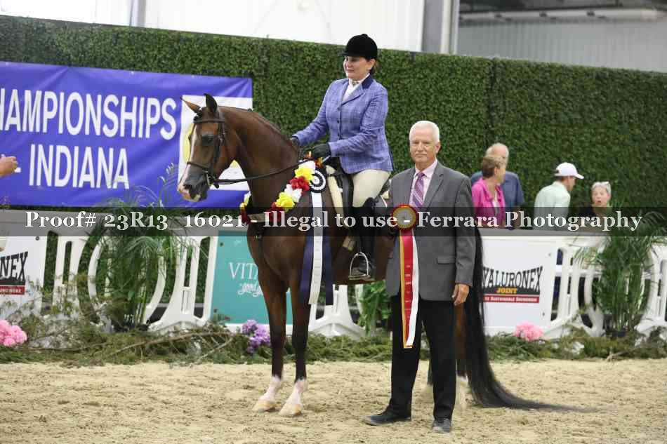 Proof Number 23R13_16021
