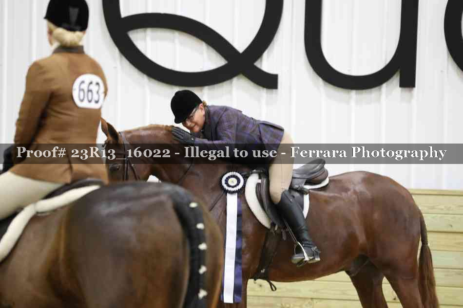 Proof Number 23R13_16022