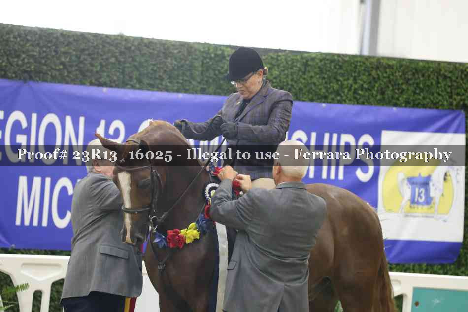 Proof Number 23R13_16025