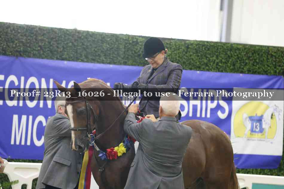 Proof Number 23R13_16026
