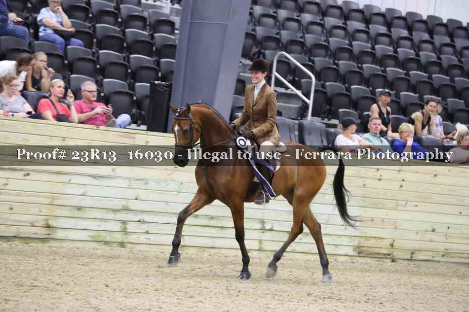 Proof Number 23R13_16030