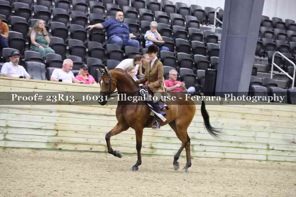 Proof Number 23R13_16031