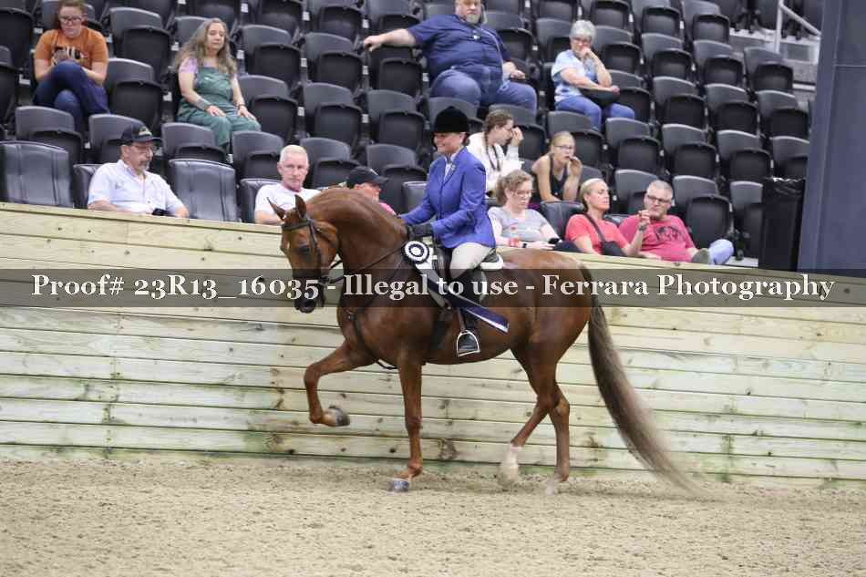 Proof Number 23R13_16035