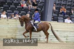 23R13_16037 thumbnail