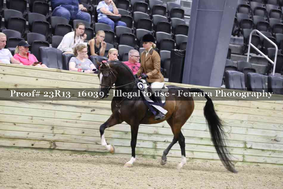 Proof Number 23R13_16039