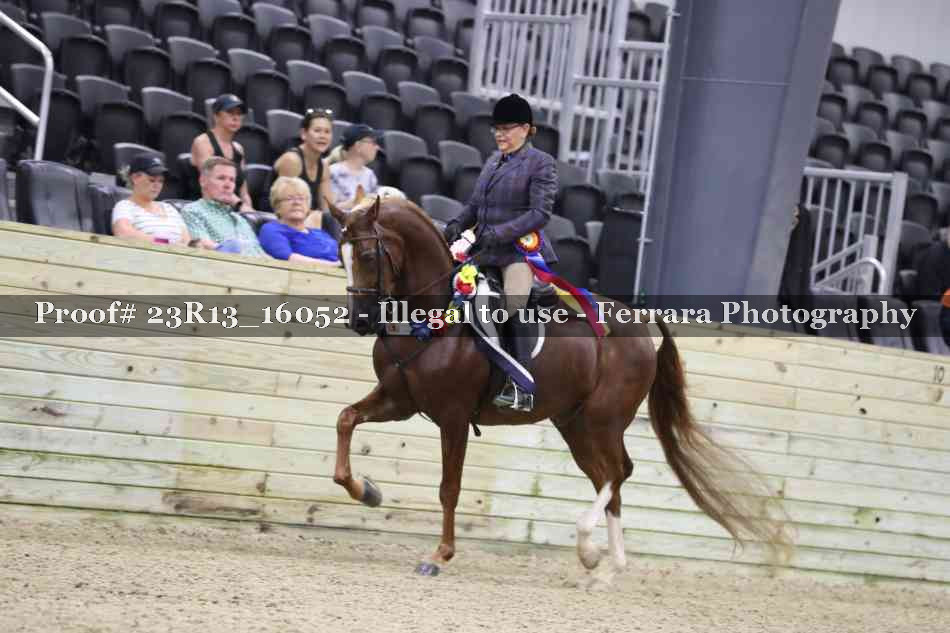 Proof Number 23R13_16052