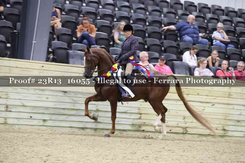 Proof Number 23R13_16055