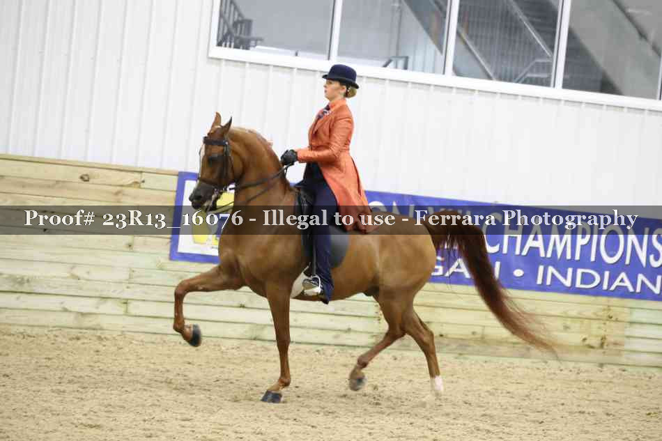 Proof Number 23R13_16076