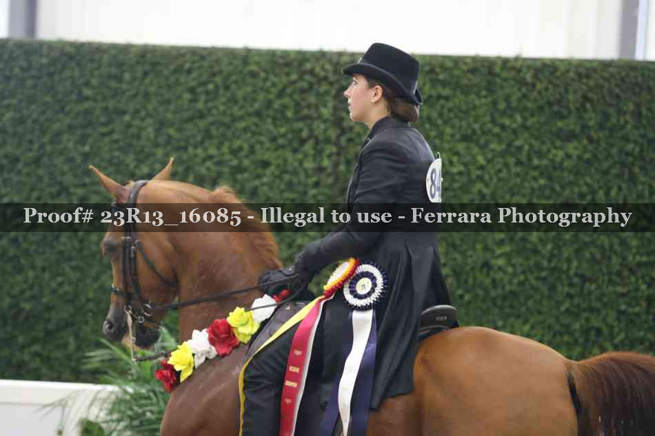 Proof Number 23R13_16085