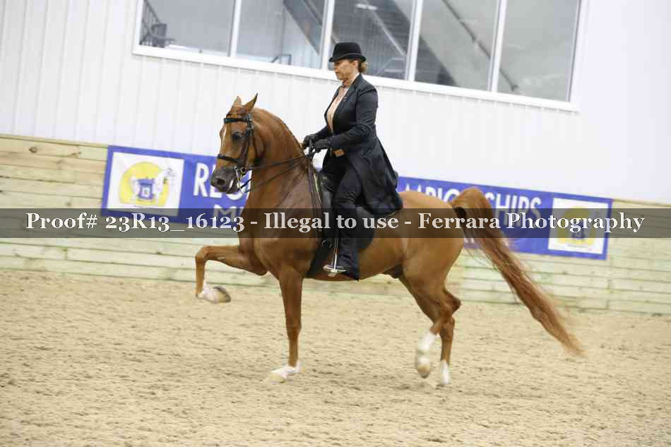Proof Number 23R13_16123