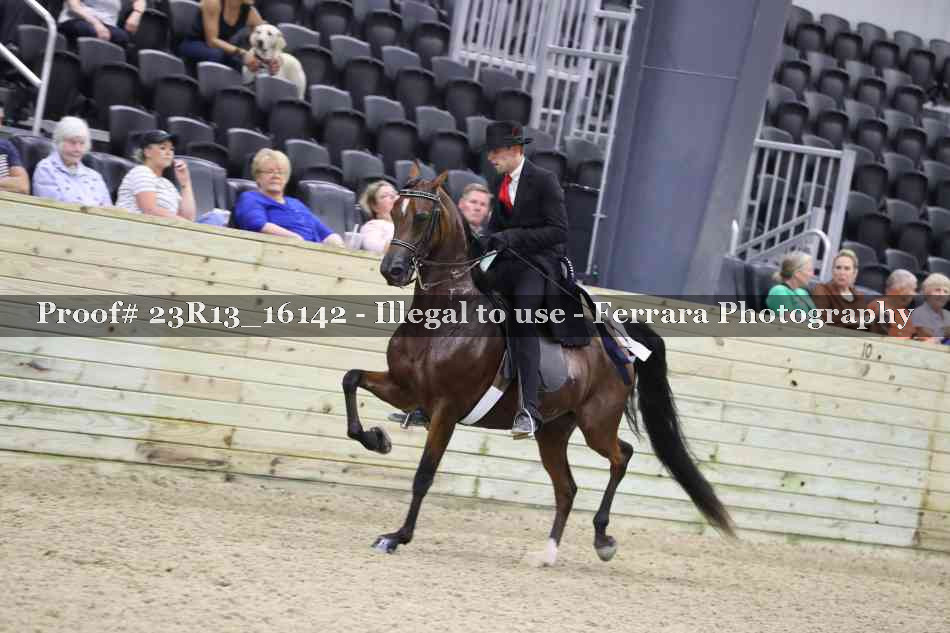 Proof Number 23R13_16142