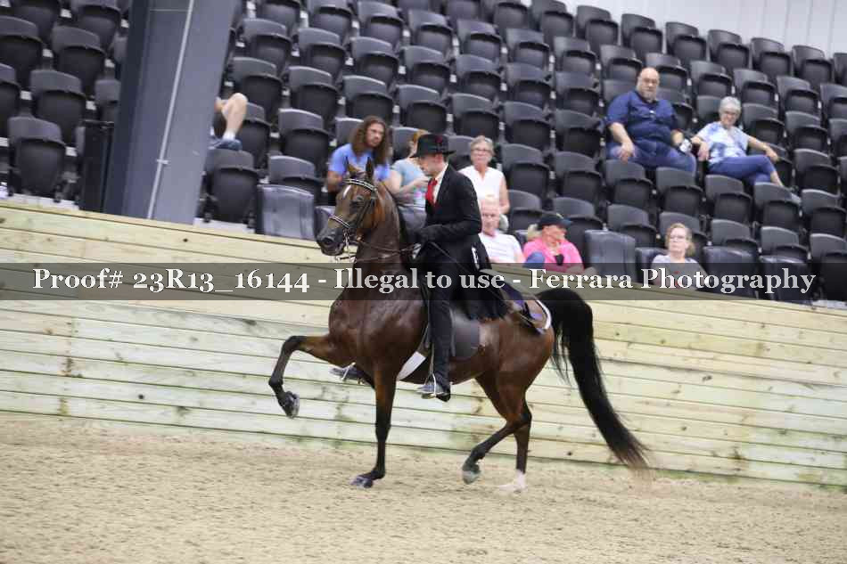 Proof Number 23R13_16144