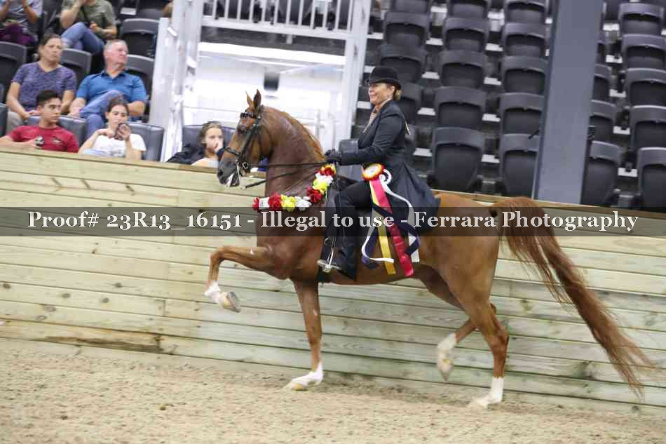 Proof Number 23R13_16151