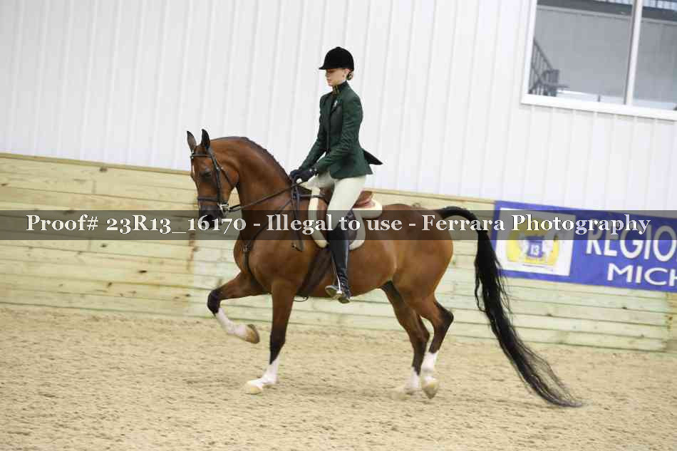Proof Number 23R13_16170