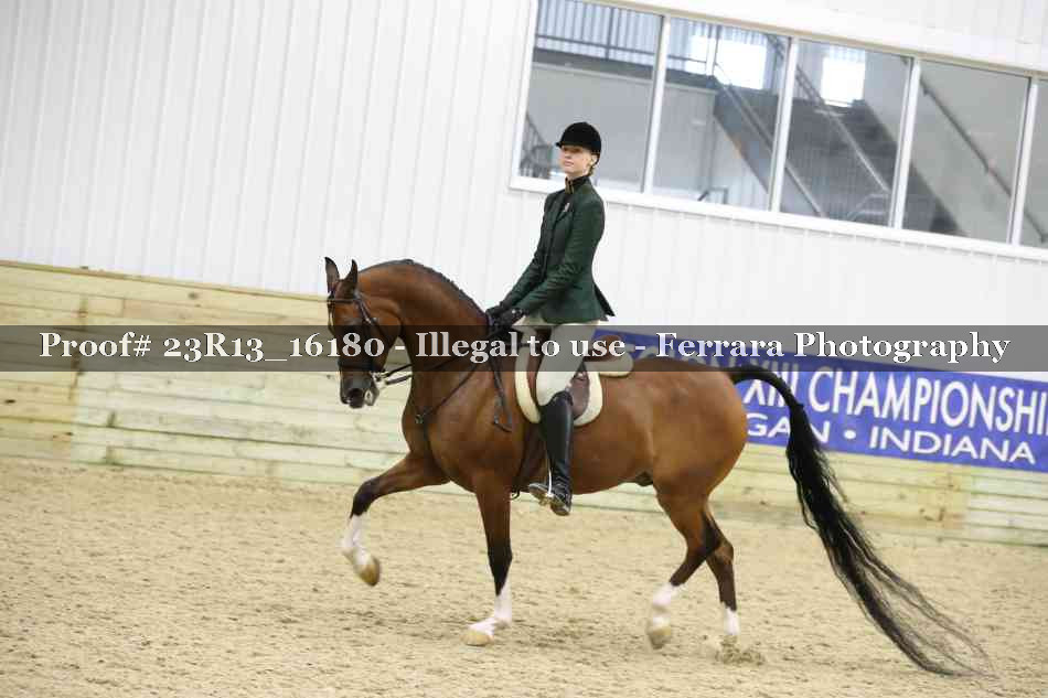 Proof Number 23R13_16180