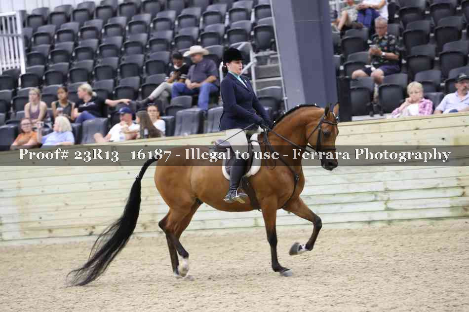 Proof Number 23R13_16187